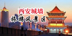在线看操批www中国陕西-西安城墙旅游风景区